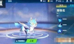 飞车手游最新宠物爆料点,神秘力量觉醒，速度与激情再升级！